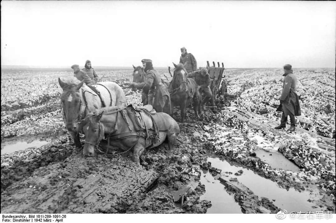 mg42通用机枪codm,mg42撕布机枪图片