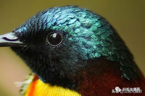 拍的照片没有层次感,拍出的效果没有实物效果