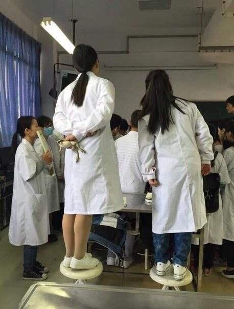 学医需要学数学物理吗,学医为啥不考数学