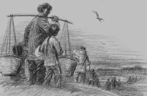 莫言说母亲感动,莫言感恩母亲