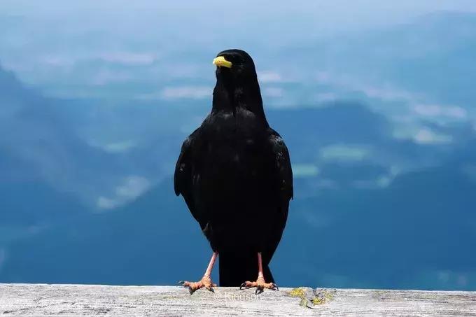 体验师徐凯德瑞意奥之旅（四）——走进中欧的童话国度