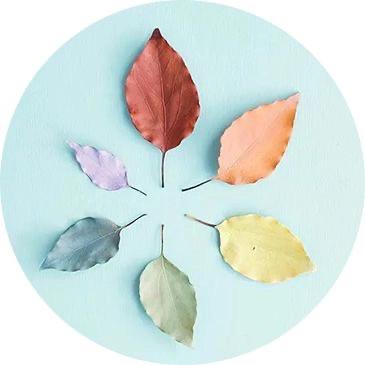 写在最前面的话怎么写,写在日记最开始的话