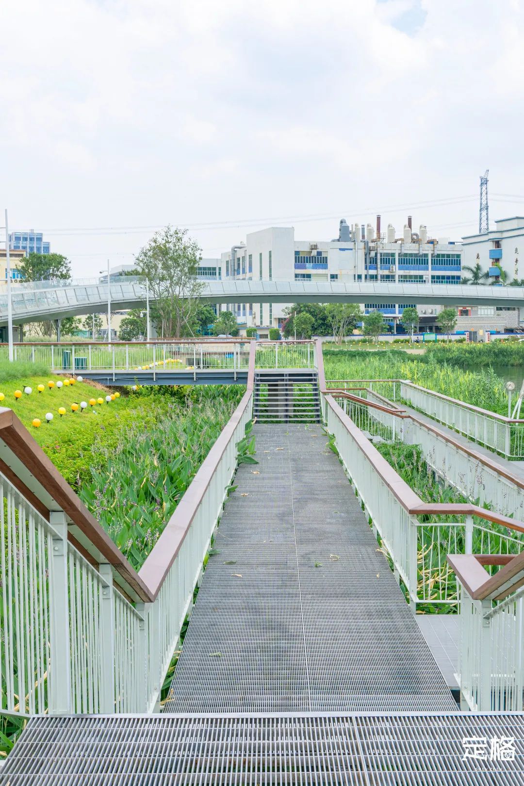 沙井万丰哪里的生蚝好吃,深圳沙井生蚝最出名店