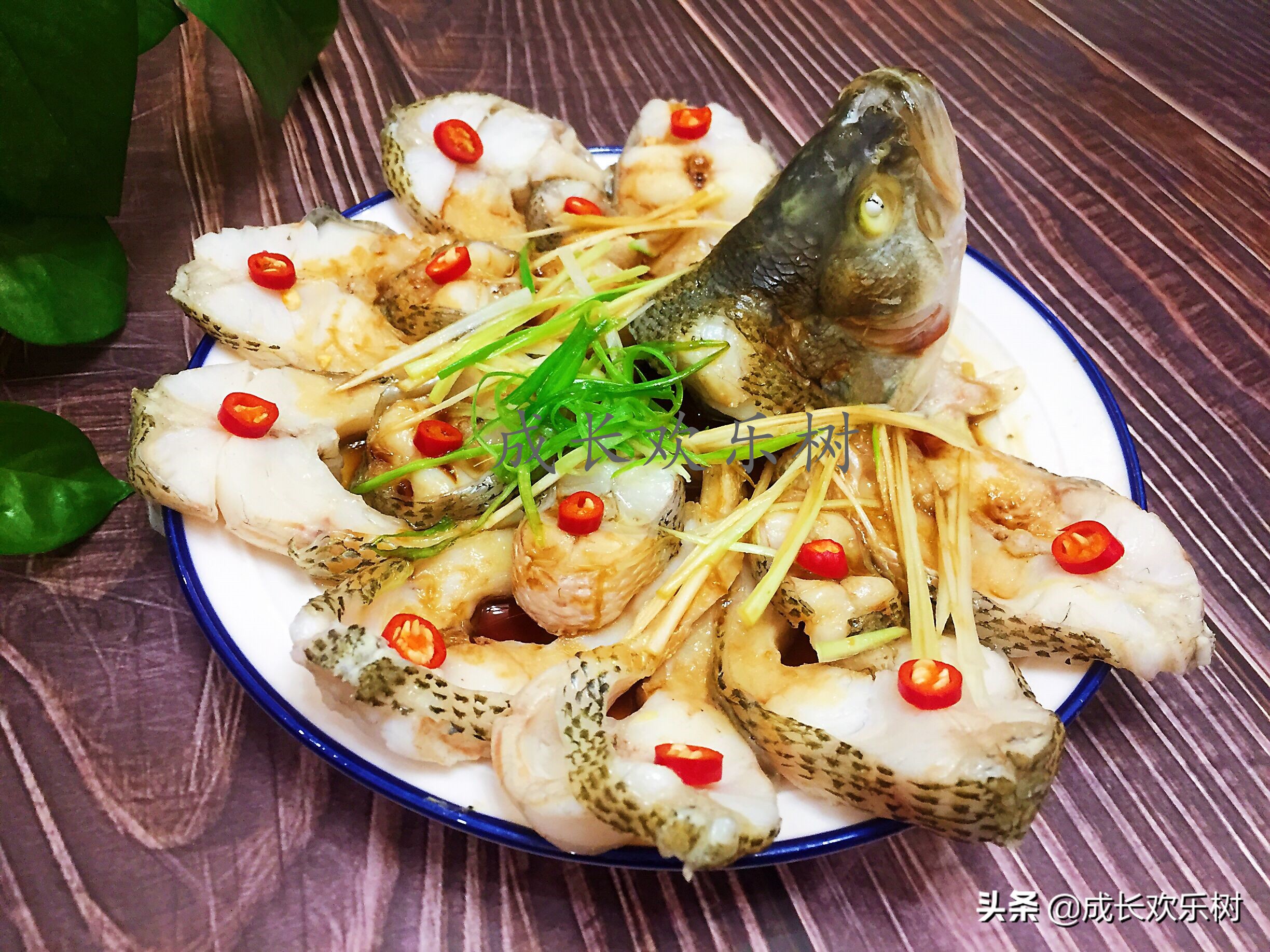 年夜饭必备的家常菜10道鱼的做法,怎样做鱼才好吃年夜饭