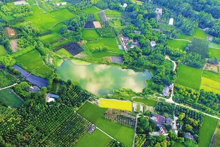 成都公园城市建设令人欣喜,成都打造世界级公园城市