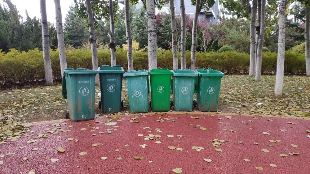 2020年摄影点评部分低分照片合集(下)(前方大量熊猫出没)