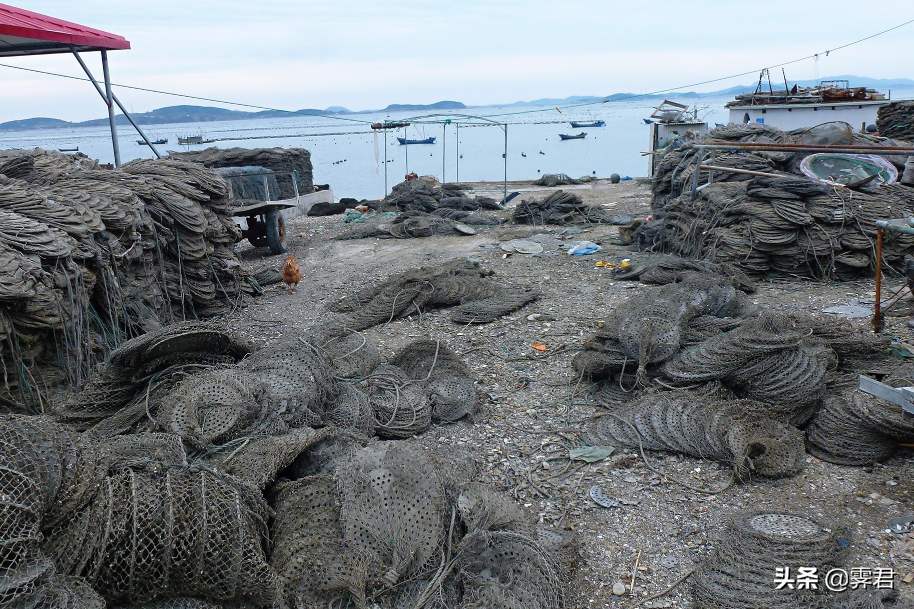 大连皮口港当天往返攻略,大连皮口港坐船攻略