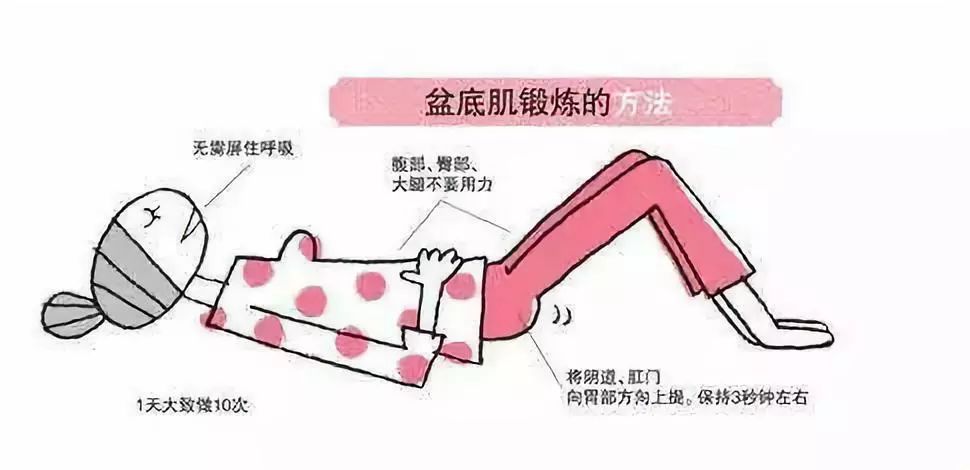 产后盆底肌松弛怎么办？医生分享：孕期产后都可做的盆底肌训练