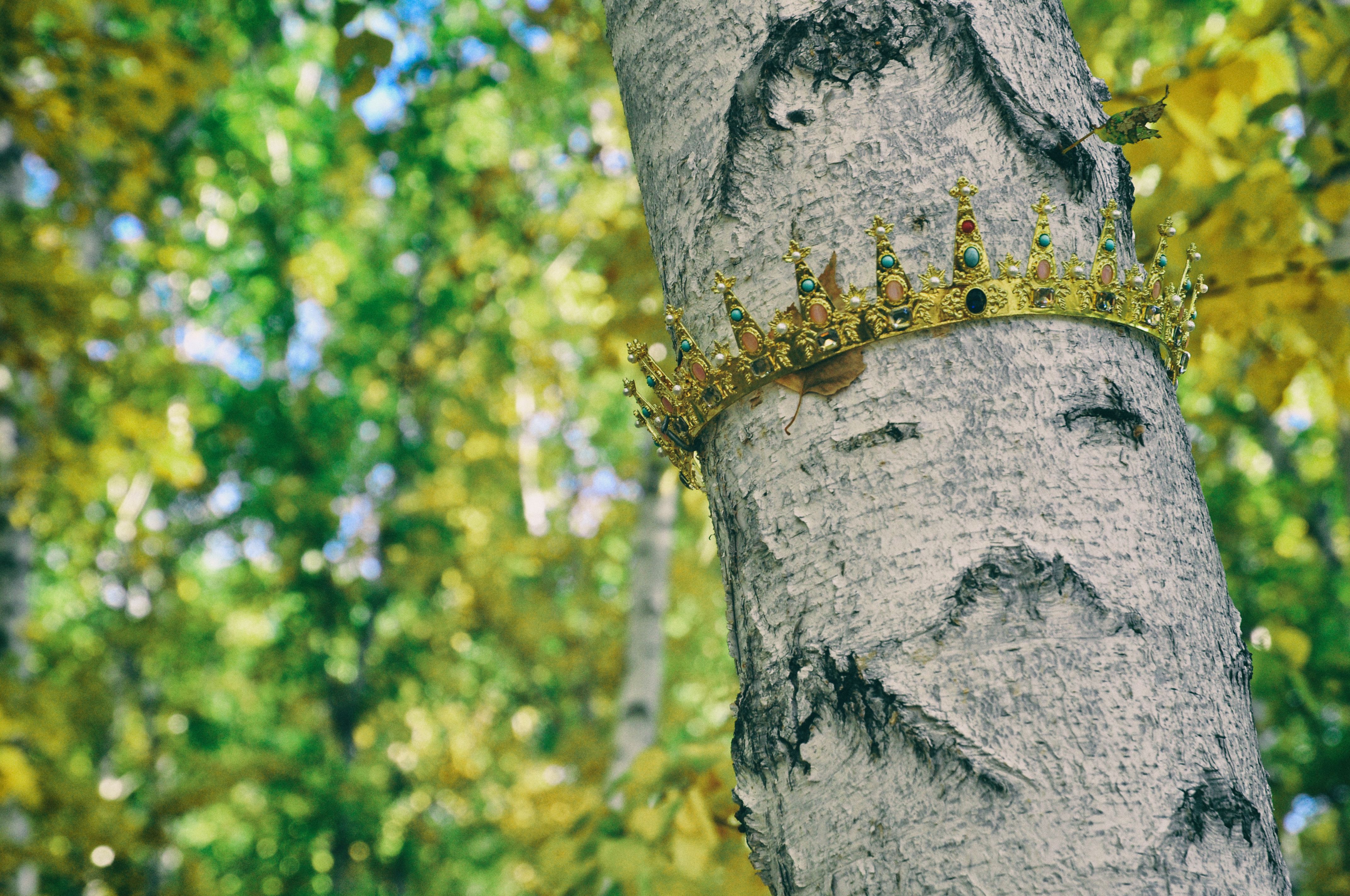 南方人自驾来东北是啥体验,15天一万公里的新疆感受