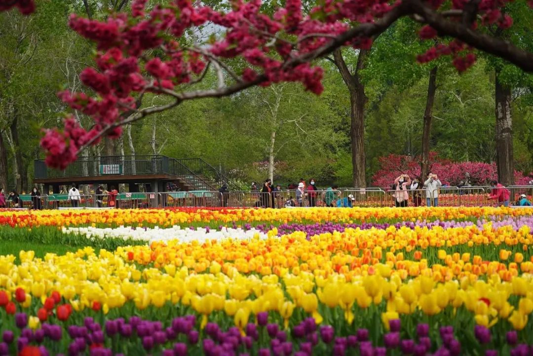 出行安全宝典,北京旅游安全攻略