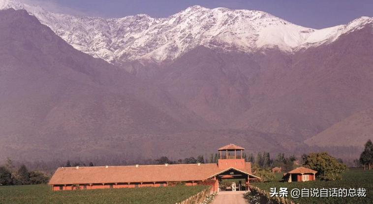 牛油果是坏了吗,牛油果几十年前