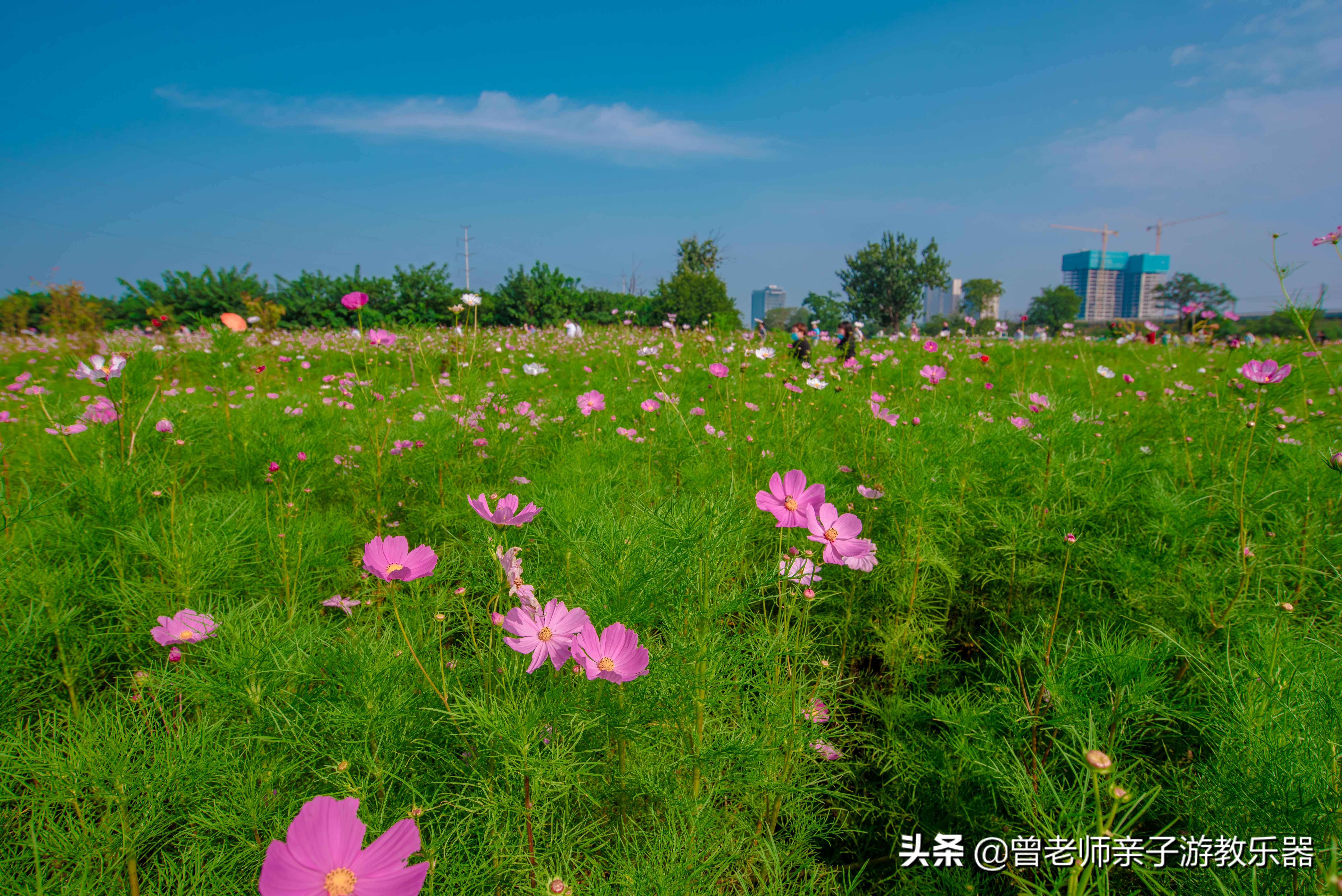 西安遛娃夏日,国庆西安周边2-3天溜娃