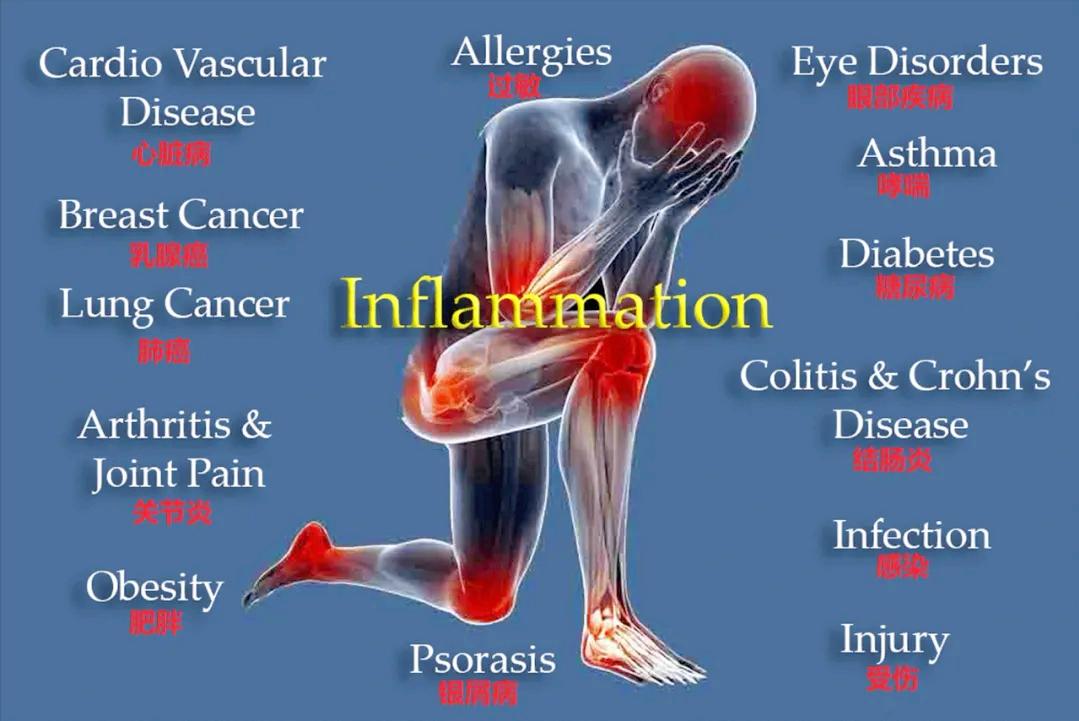 上火牙疼为什么血压也升高了,吃高血压药为什么上火牙疼
