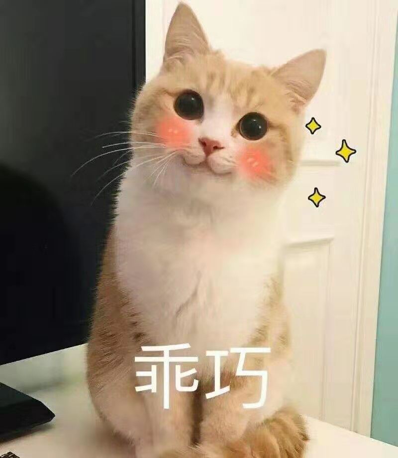 淘宝双十二怎么用购物券,淘宝双十二怎么买东西最便宜