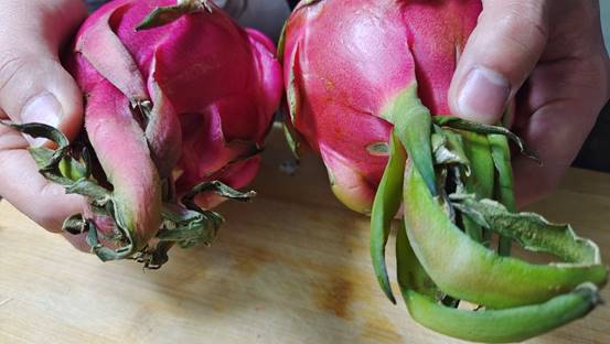 买火龙果要掰刺吗,买火龙果买整颗的