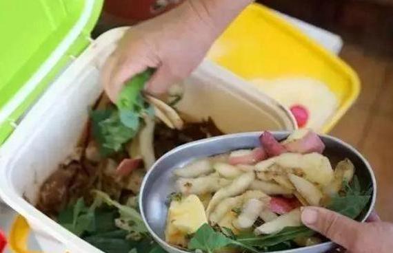 养花小妙招厨房垃圾变肥料,家里变废为宝的养花肥料