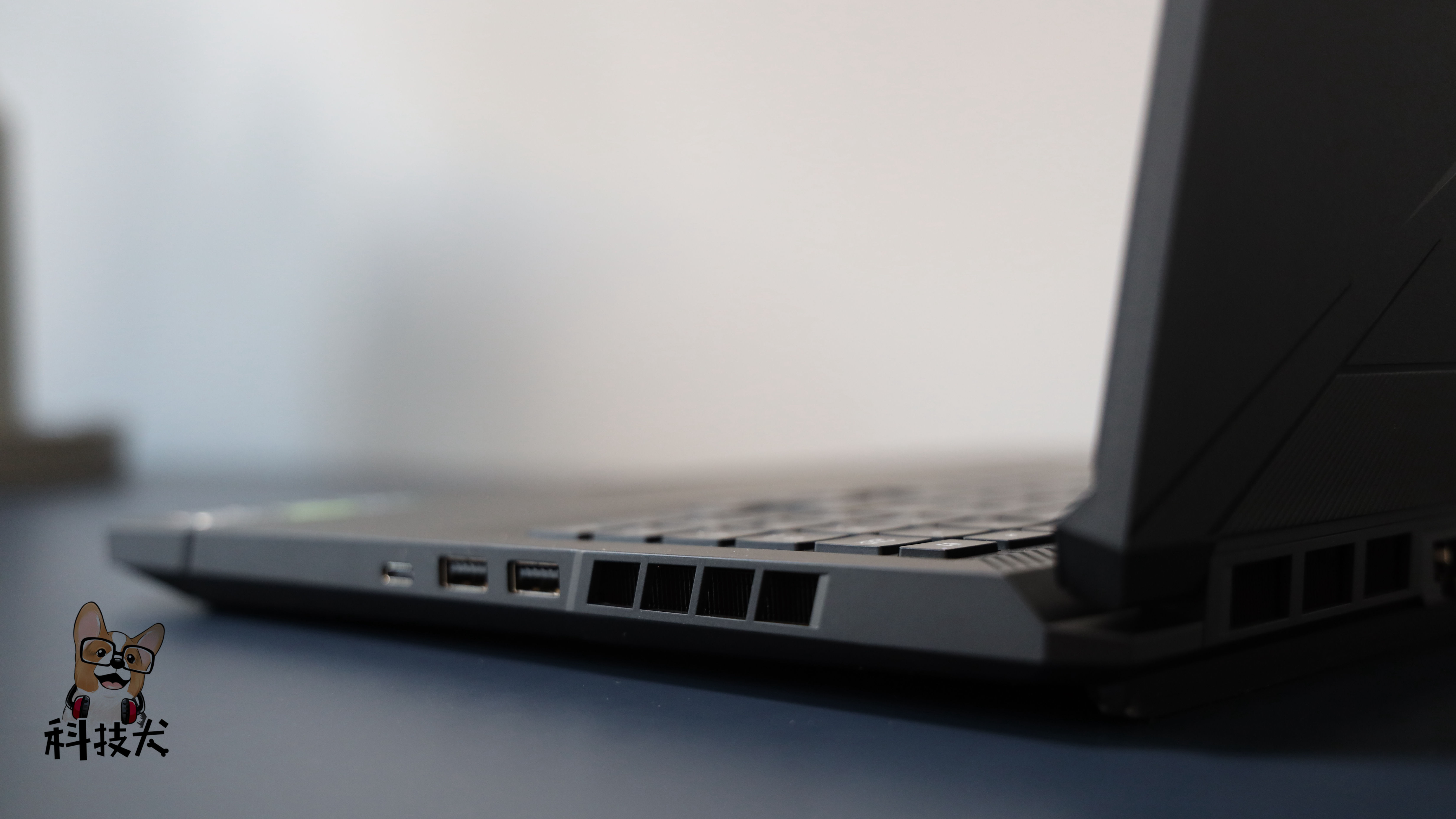 柯基狗幼犬多少钱一只,柯基犬最值得买的耳机