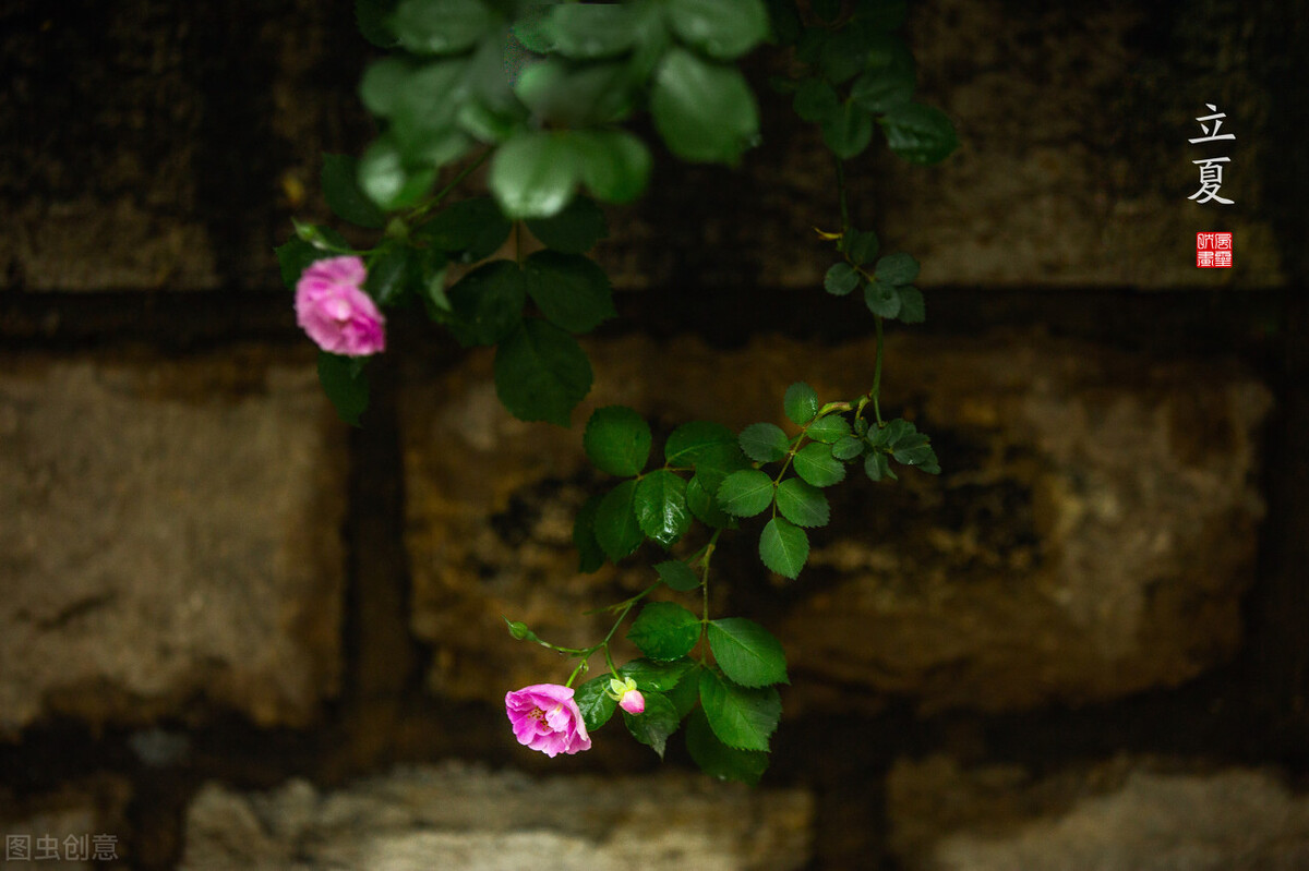 京喜无货源店群如何发货,京喜无货源店铺可靠吗