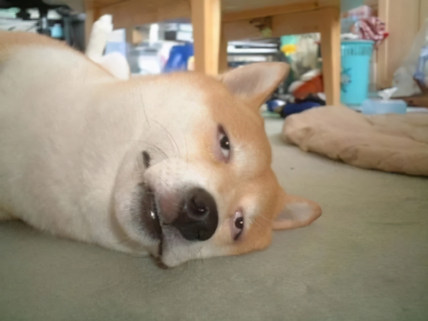 广东朋友发的，心酸中带着一丝好笑|冷段子1823