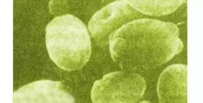 冒着严寒做酒的辛酸，只有酿酒工的才知道！