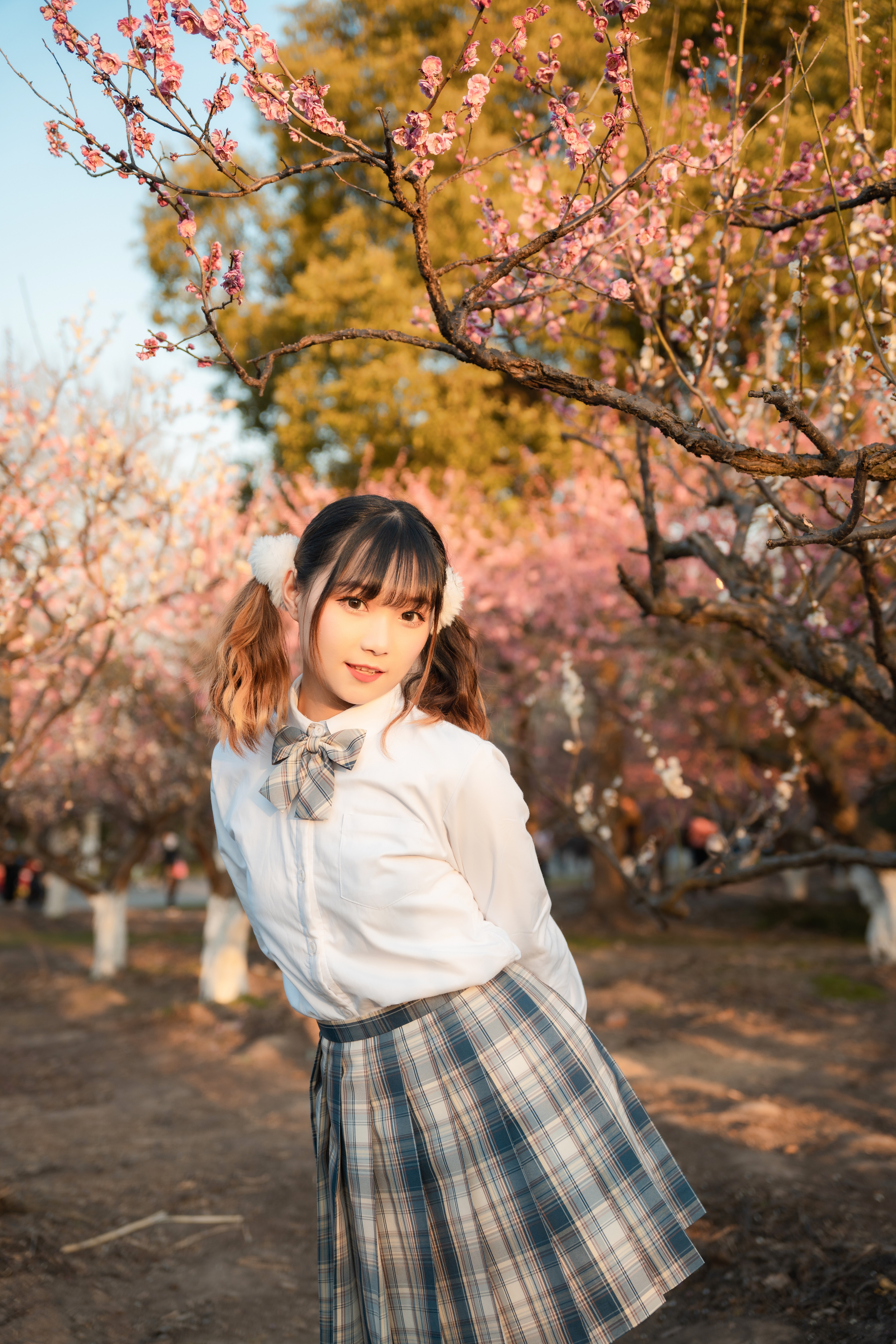 适马24-702.8二代镜头测评,适马新出的24-702.8镜头怎样