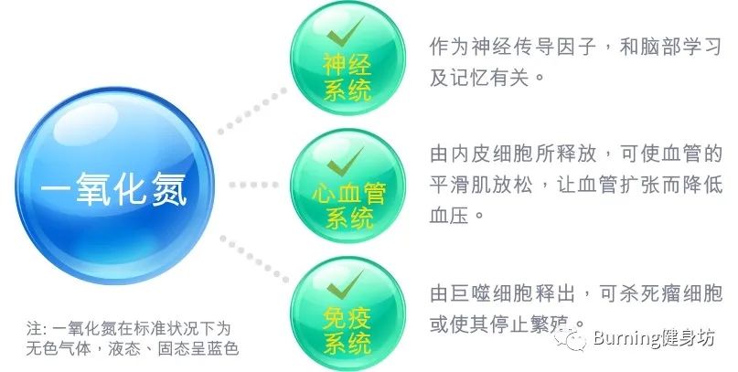 淇宸︽棆鑲夌⒈鑳跺泭鍑忚偉,宸︽棆鑲夌⒈鍑忚偉鑳跺泭鍔熸晥