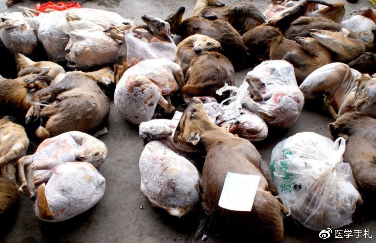 辟谣食物安全,辟谣吃人参可以挽救生命吗