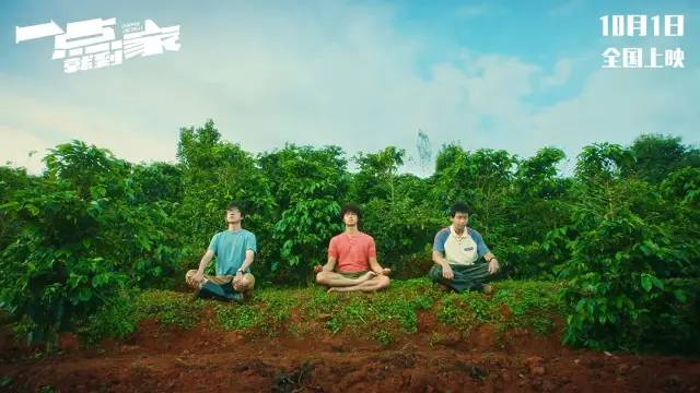 票房惨淡的高分电影有哪些,票房高口碑差的烂片