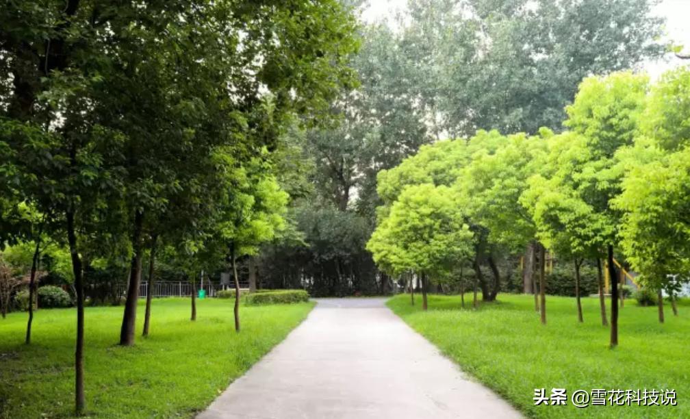 佳能eos5dmarkii,佳能canoneos850d