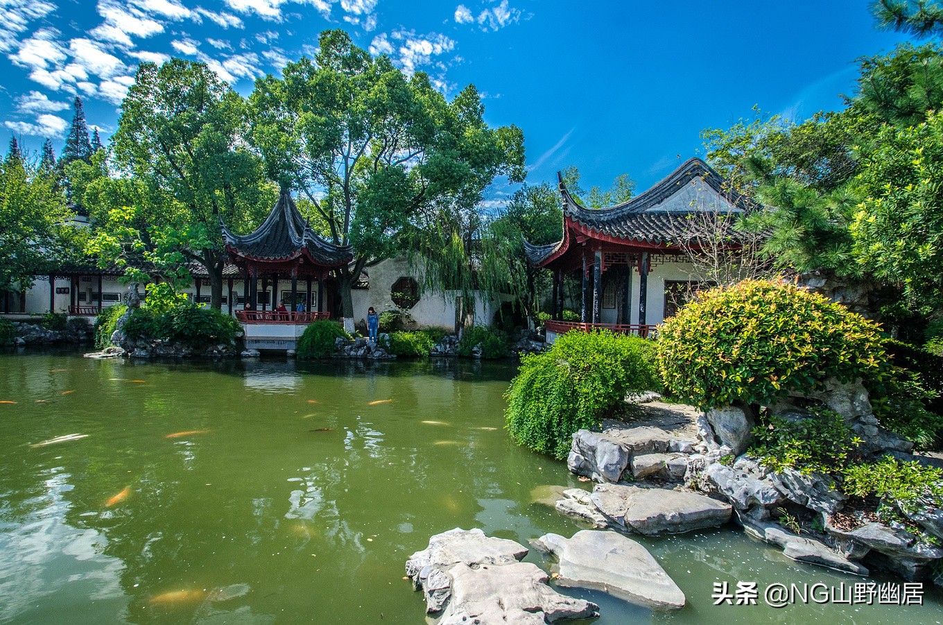 苏州珍珠塔全景图,苏州同里珍珠塔园林