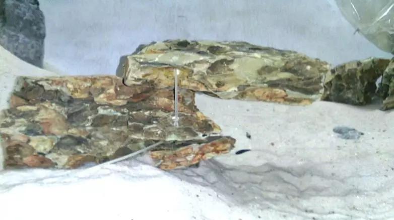 草缸造景教程:胶水造景太温柔,男人就该上电钻