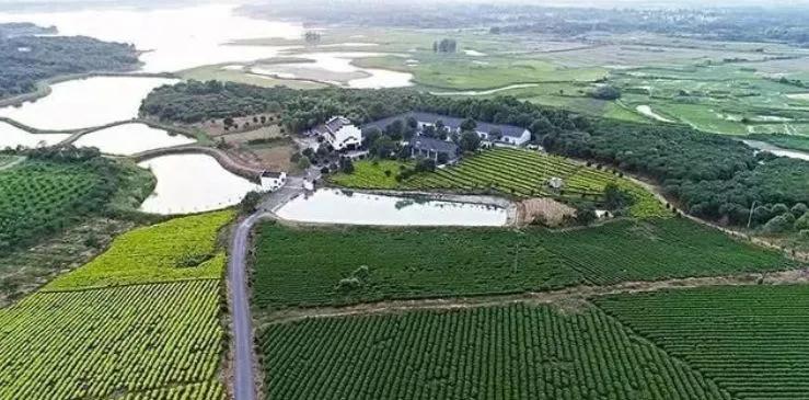 经营家庭农场的10个盈利模式,日本家庭农场经营模式