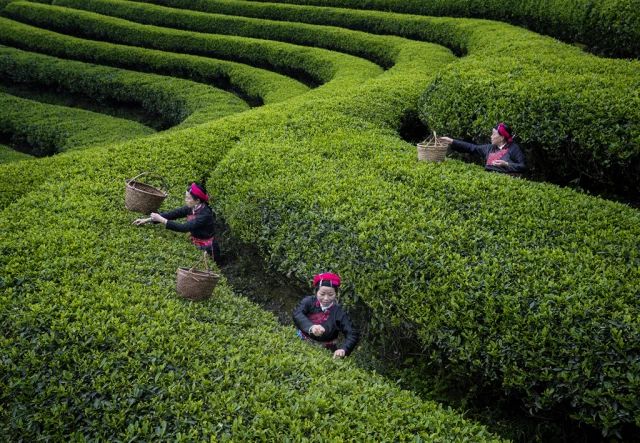 奥地利特伦伯超级摄影巡回展,奥地利超级摄影巡回展获奖作品