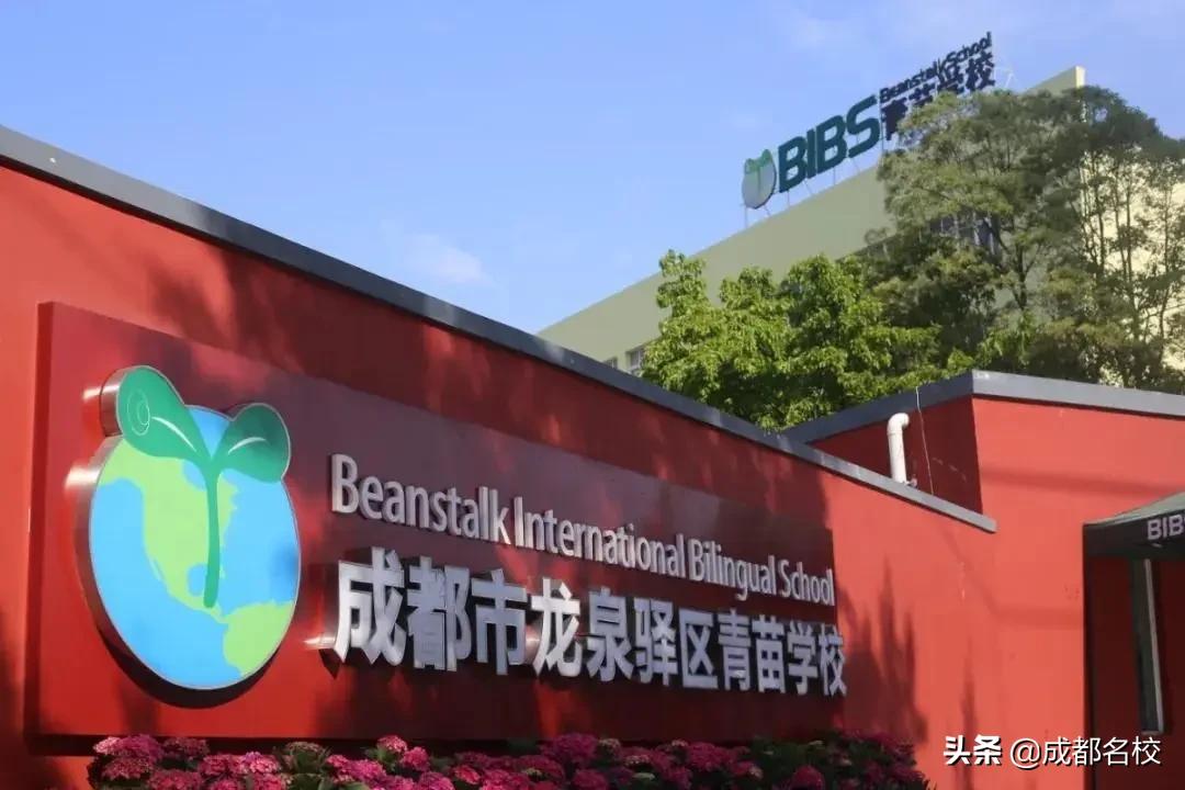 龙泉秋季招生学校哪家好,龙泉新学校招生最新信息