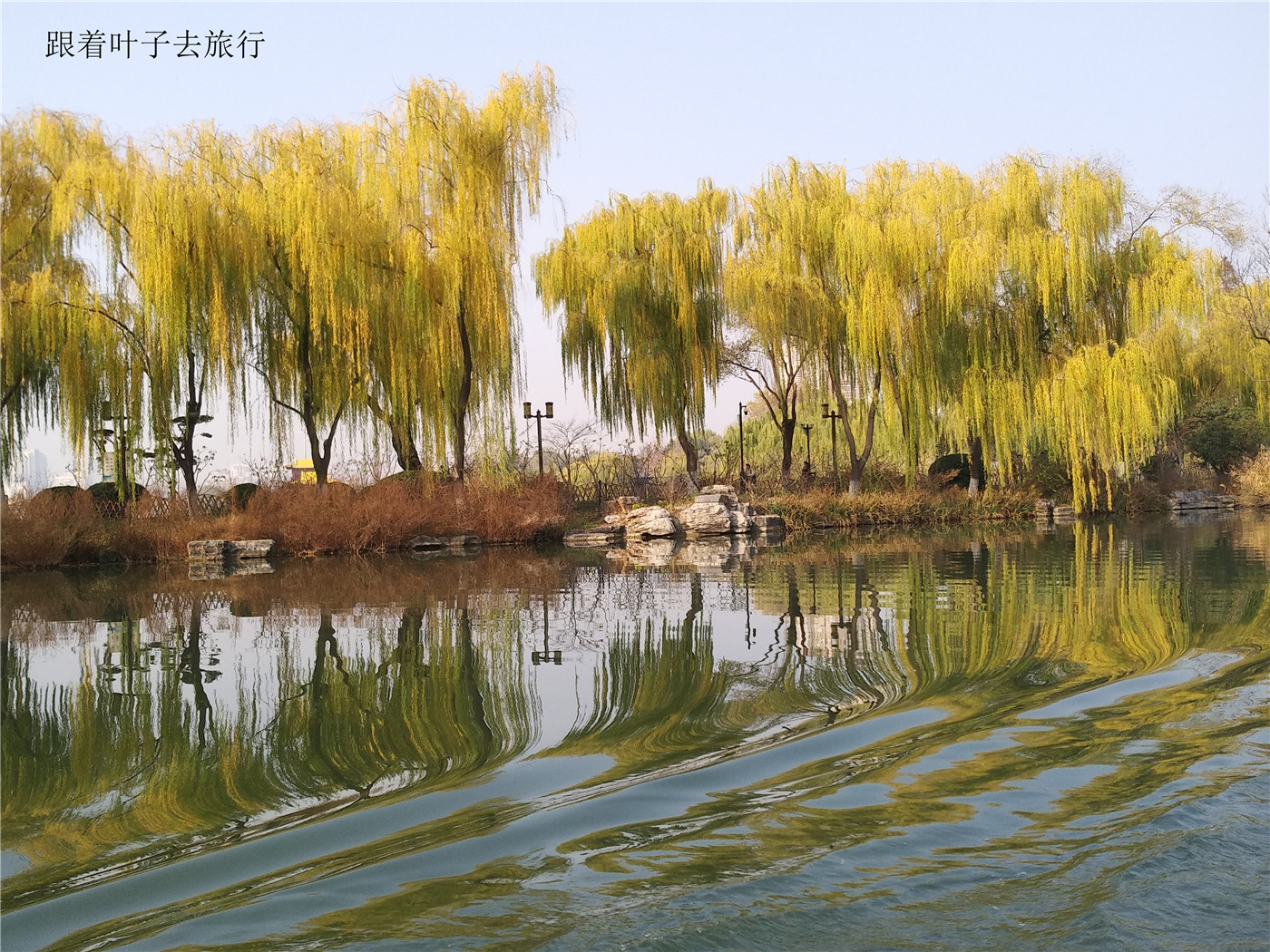 大明湖畔南丰祠雨荷厅前的荷花池,大明湖南丰祠的传说