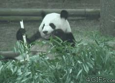 奇葩新闻大全爆笑合集,各种奇葩新闻笑死人