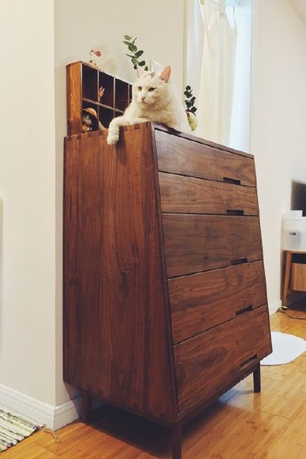 德国主妇高效收纳法,美国主妇房间整理