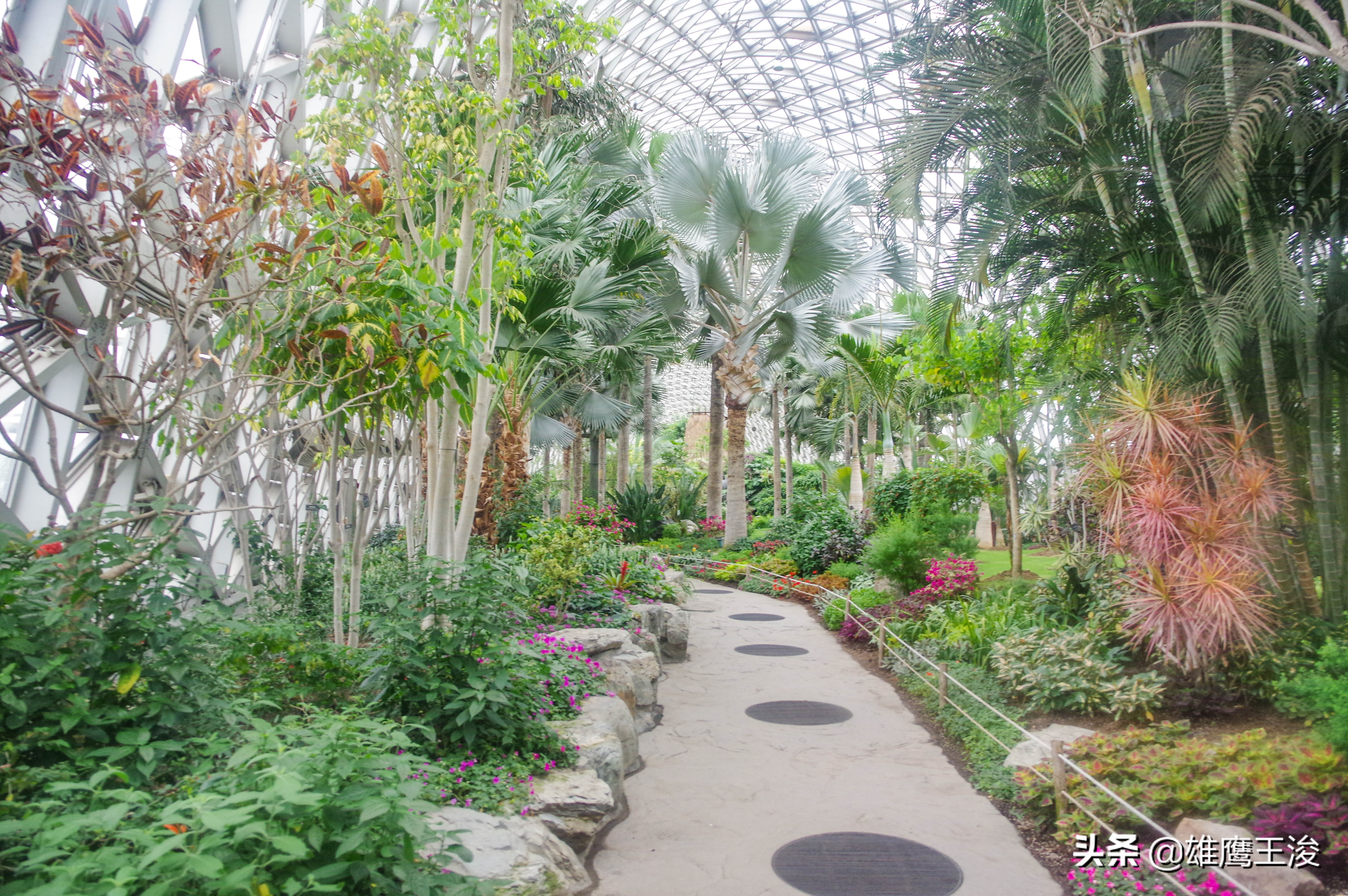 上海旅游必去的10大热门景点,上海最热门的旅游地方