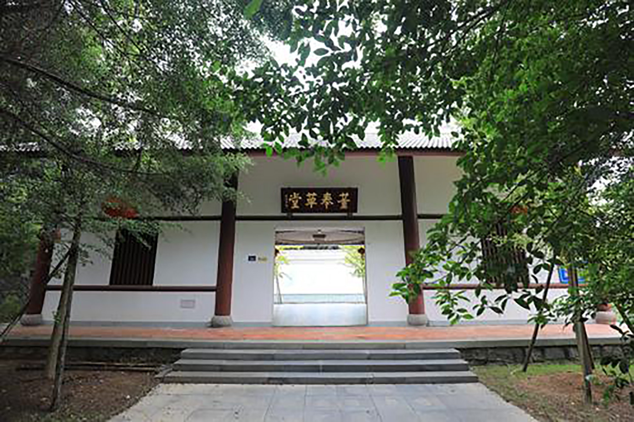 杏林属于中医的别称吗,杏林在中医里面有什么典故