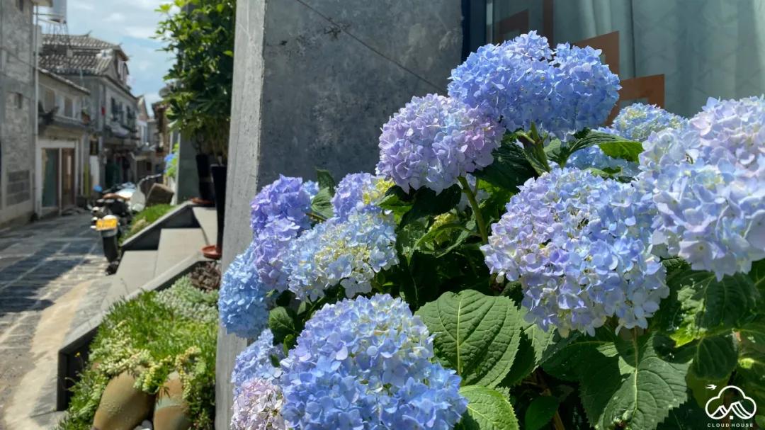 腾冲云庐客栈,腾冲云庐度假客栈