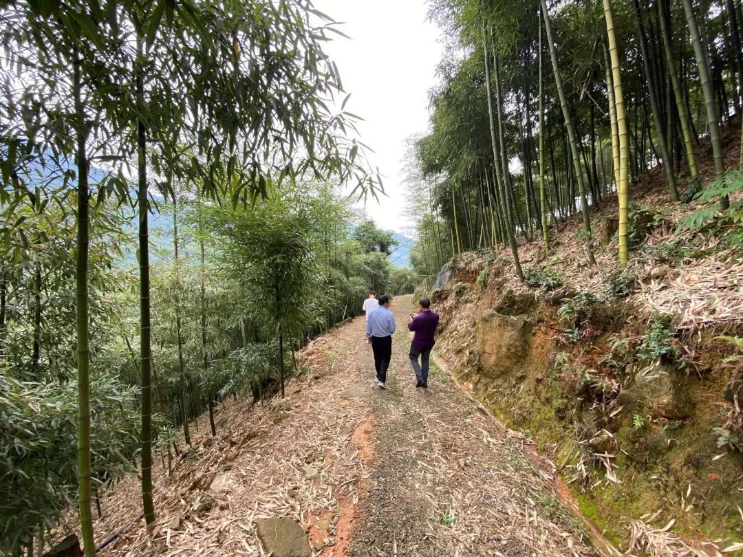 cctv村里来了个农业特派员,村里的联络员