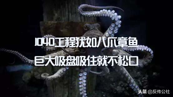 1040传销内幕揭秘,1040传销大揭秘