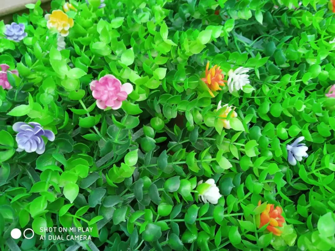 小米play带多少流量,小米play一年免流量卡