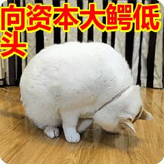 研制出新冠疫苗的辉瑞公司，竟无意中发明了“伟哥”