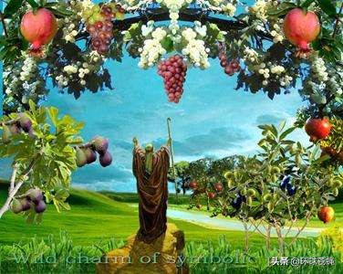 不求外在荣华，只求在基督里长进！关于无花果，你知道多少？