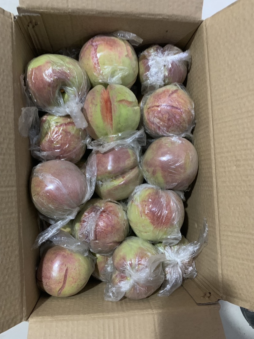 安丘大爷种的蜜桃样子丑，价格竟比普通桃子贵5倍，看看长啥样