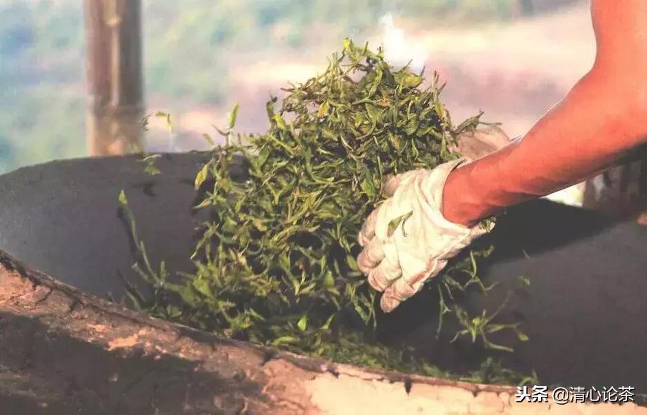 易武茶的特点和缺点,易武茶的骚香是什么香