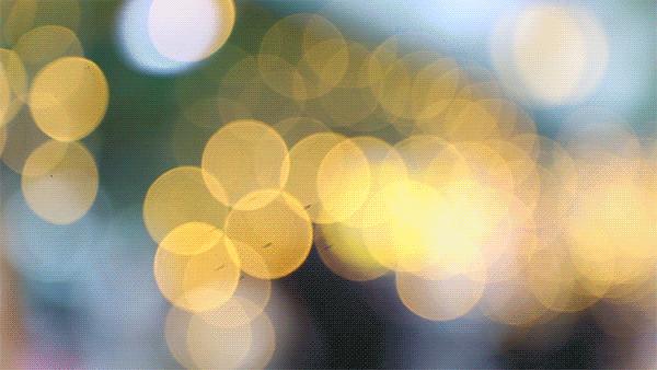 限时7天,成都「夏夜游园会」来了