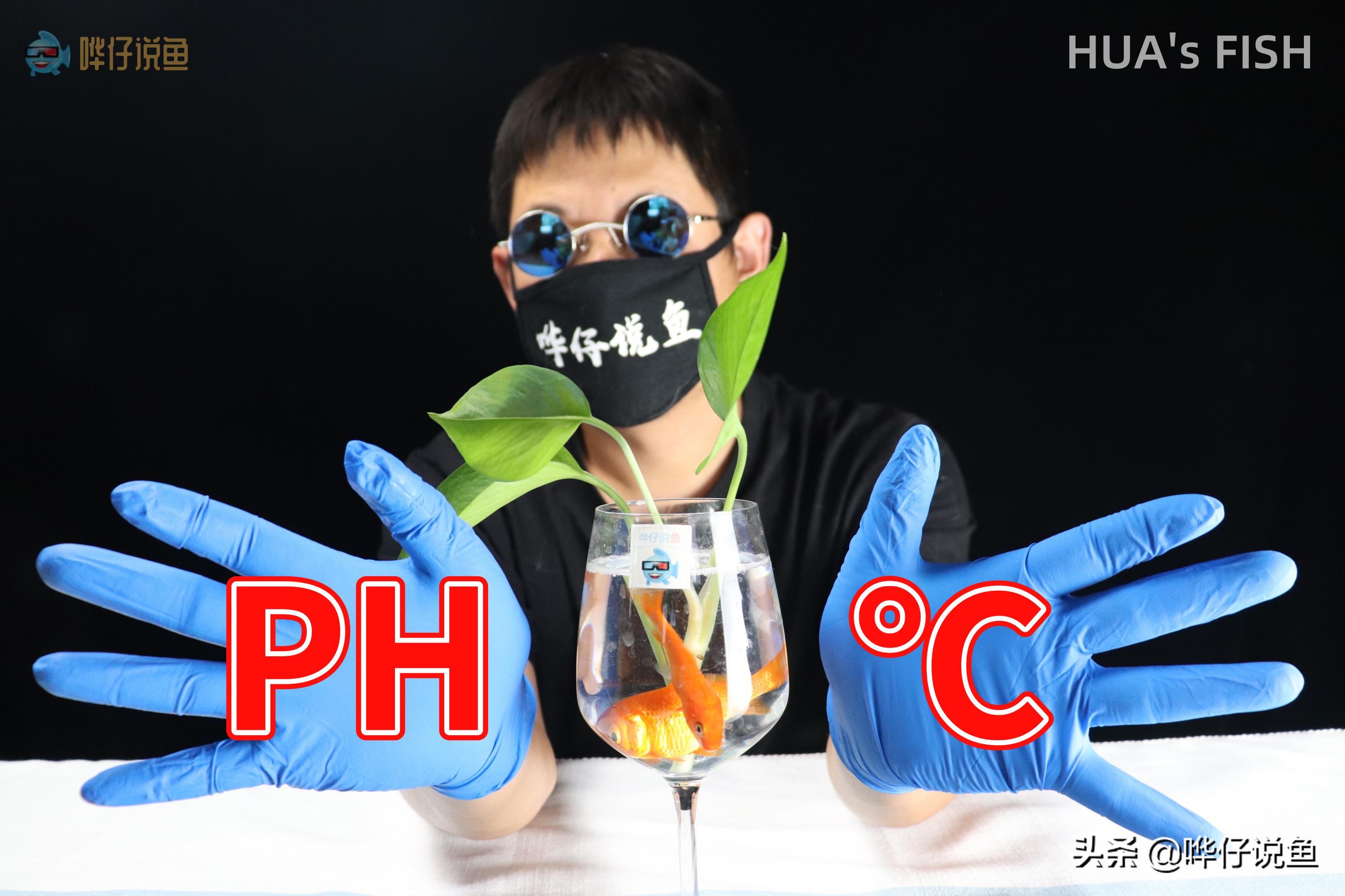 观赏鱼颜色掉色,观赏鱼褪色了怎么处理