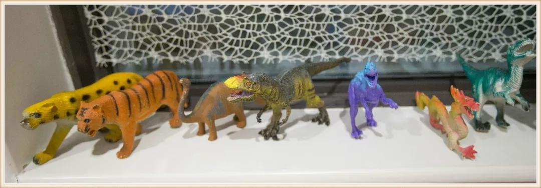 环境创设主题墙大班动物,可爱的小动物大班环境创设